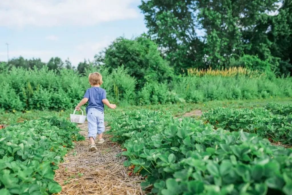 living in denmark gardening with kids