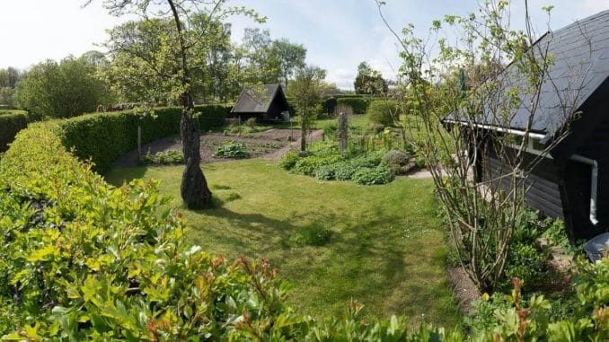 Allotment gardens in Denmark