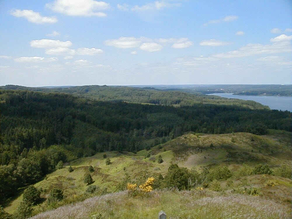 Courtesy: Geek2Nurse/Flickr