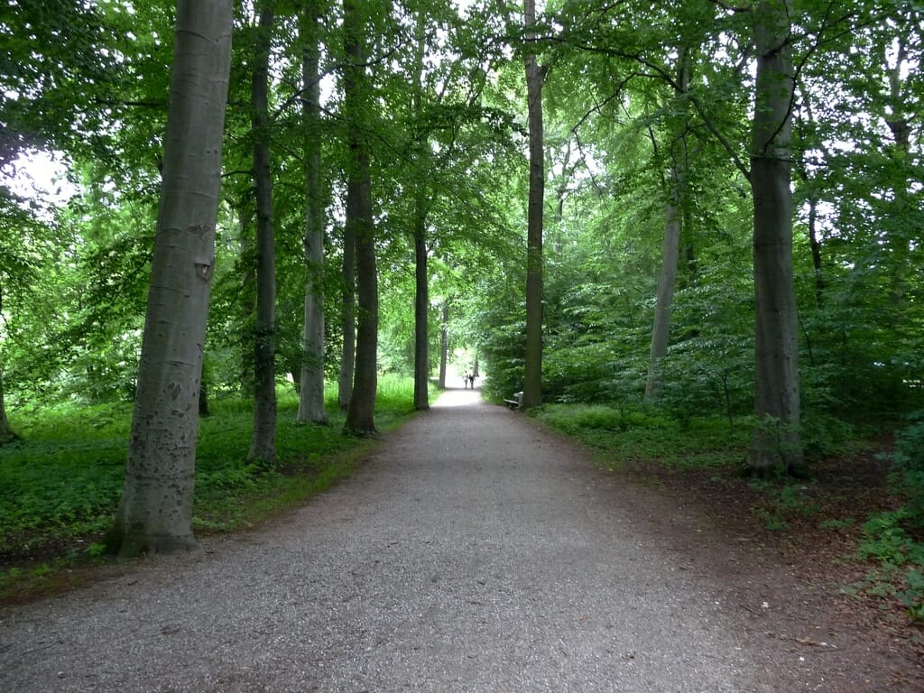 Courtesy: Gavin/Flickr