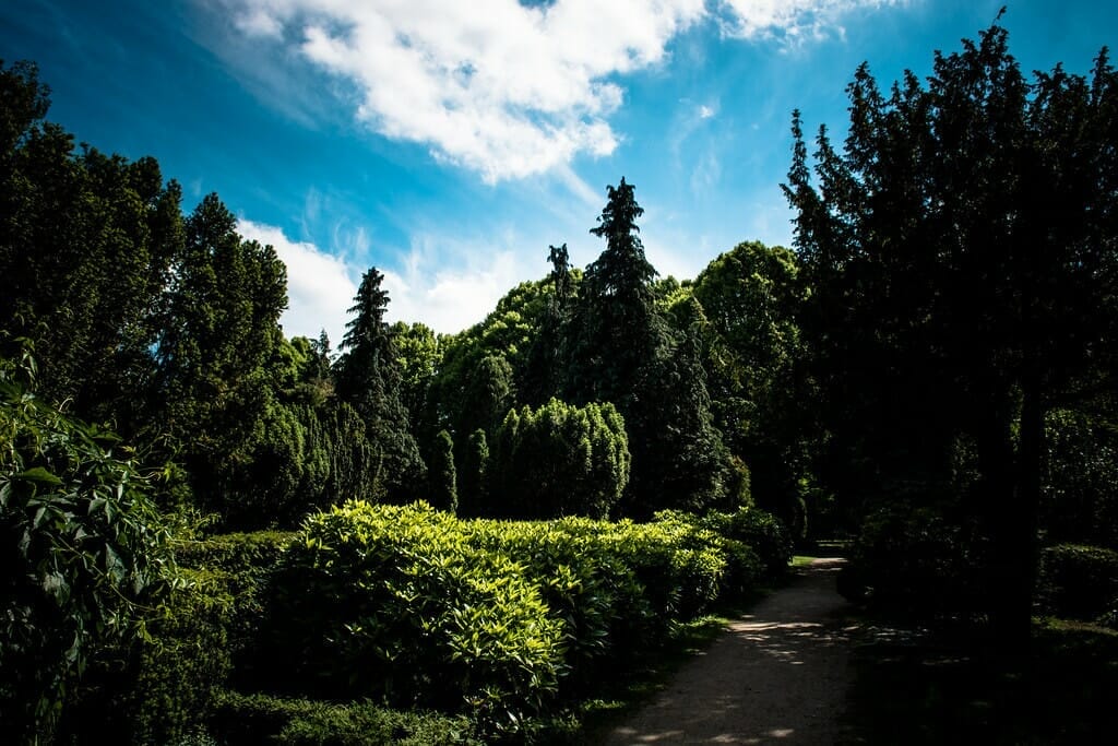 assistens cemetery norrebro
