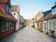 odense denmark