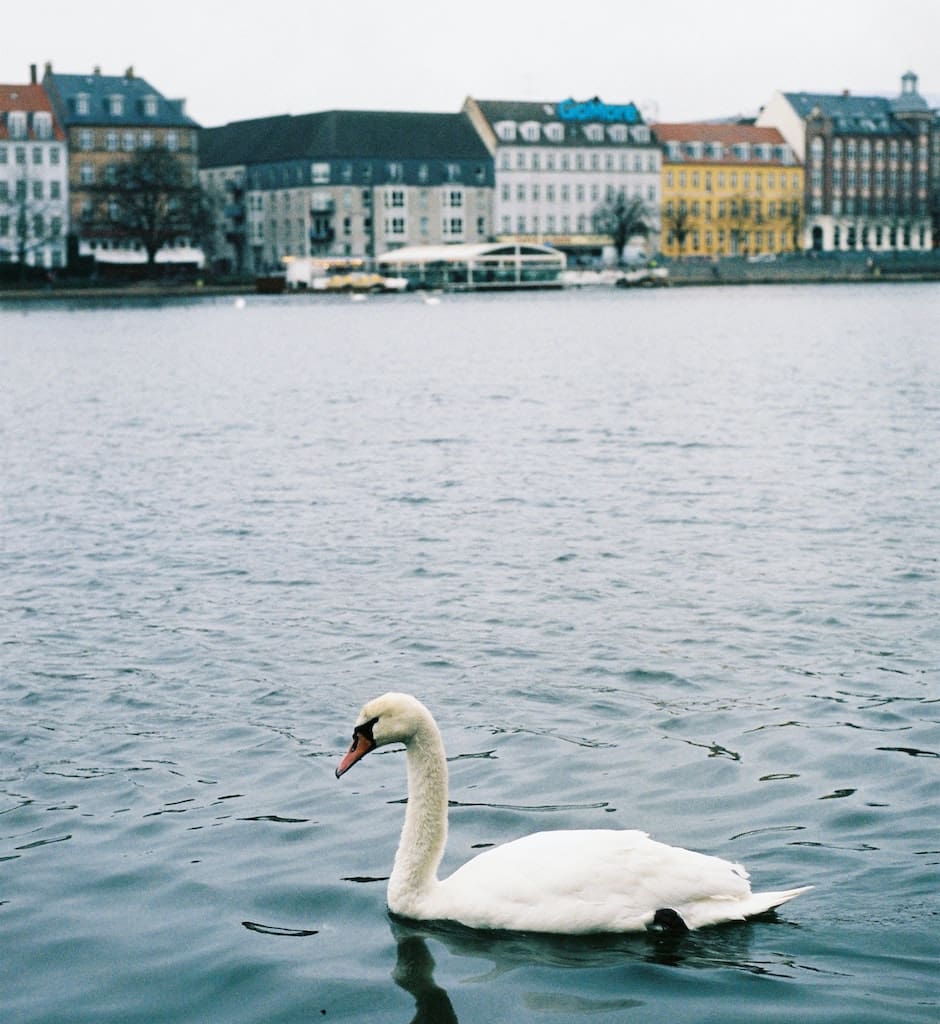 Søerne Copenhagen district