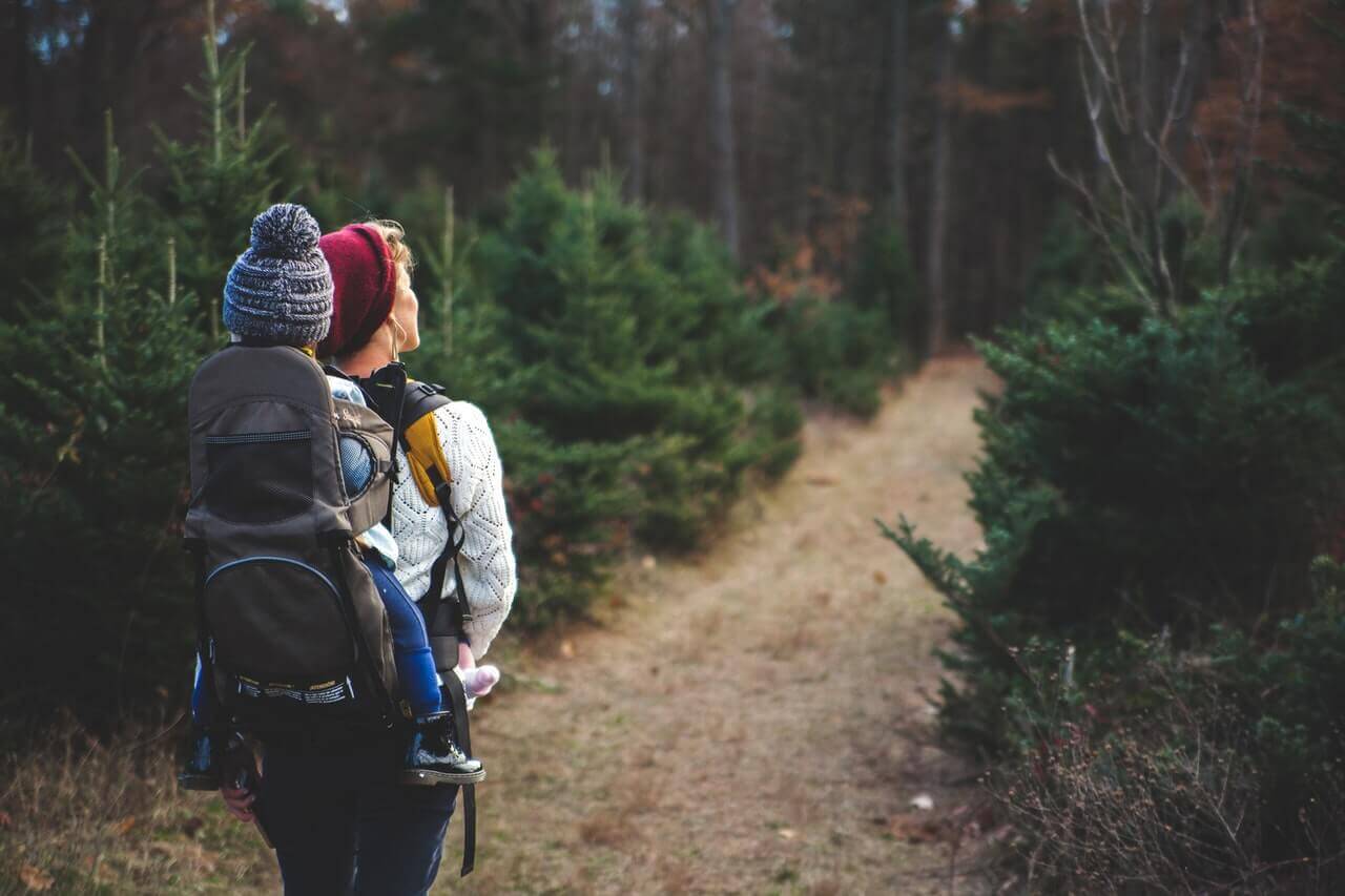 Best hiking routes Denmark