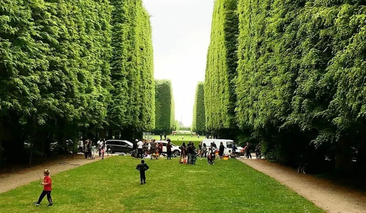 Garden with kids