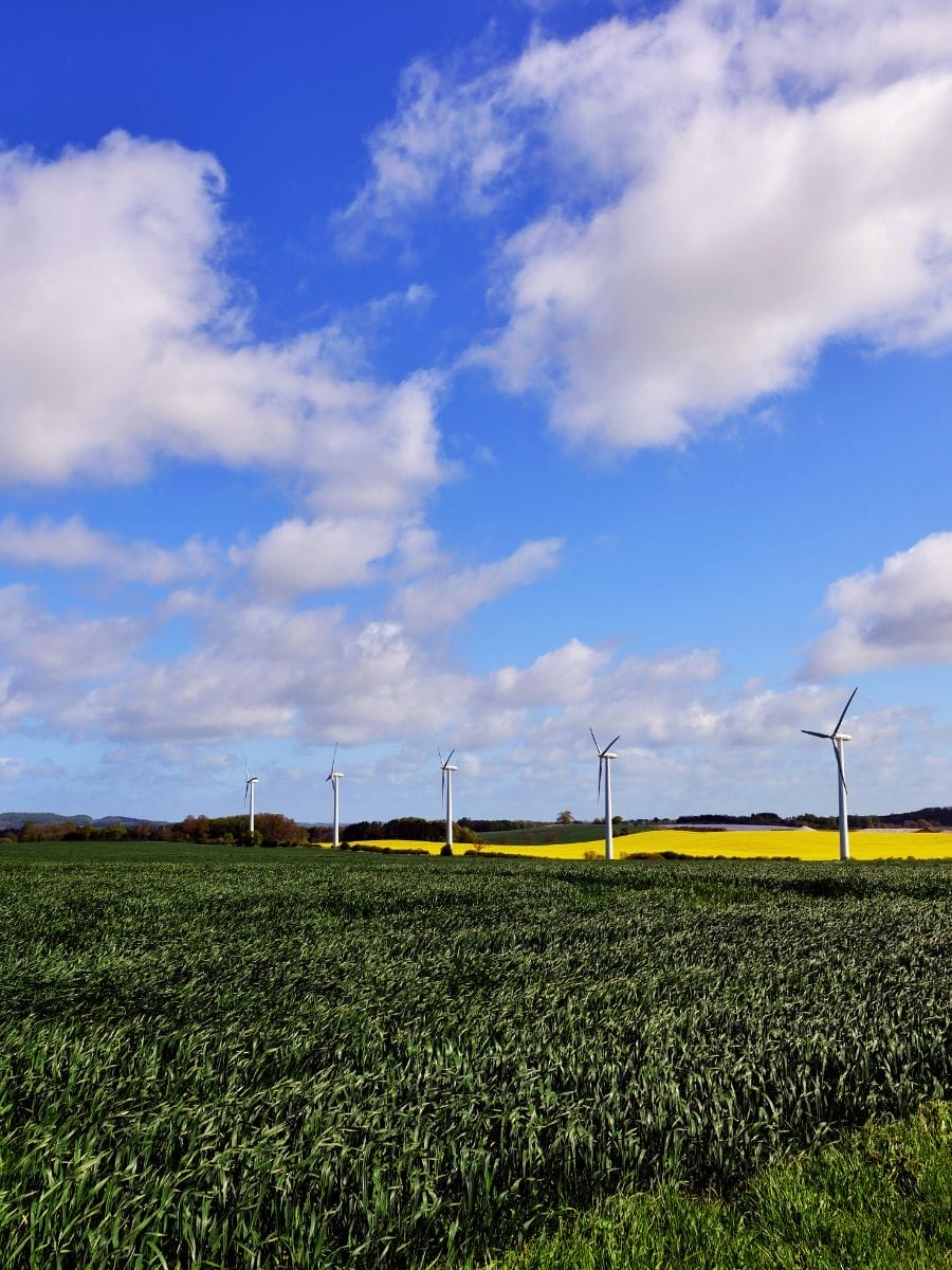 Denmark Wind Power problems solution