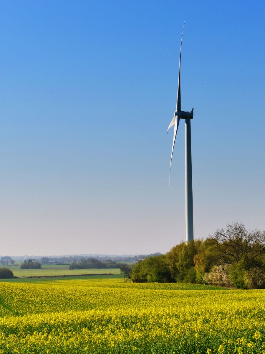 Denmark Wind Power history facts