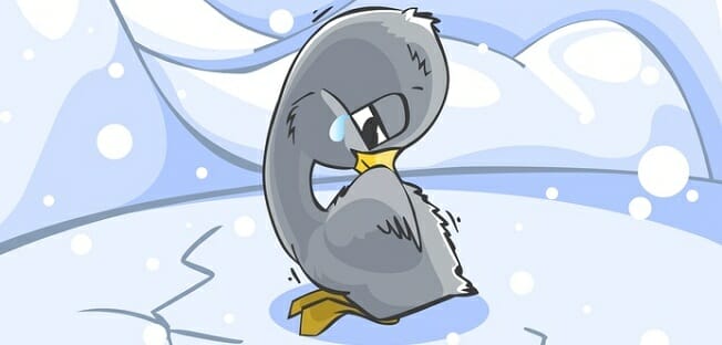 ugly-duck.jpg