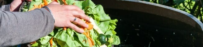 waste-food-14.jpg